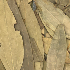 Organic Bay Leaf Whole